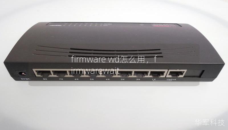 firmware wd怎么用，firmwarewait