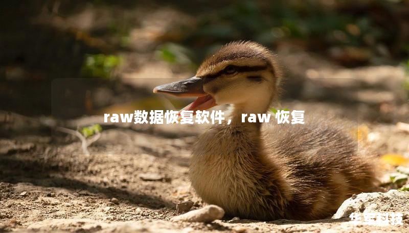 raw數據恢復軟件，raw 恢復