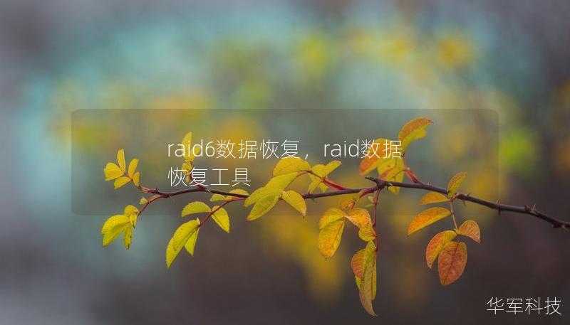 raid6數據恢復，raid數據恢復工具