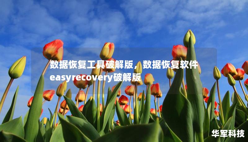 數(shù)據(jù)恢復工具破解版，數(shù)據(jù)恢復軟件easyrecovery破解版