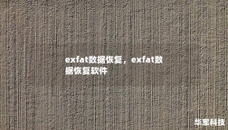 exfat數據恢復，exfat數據恢復軟件