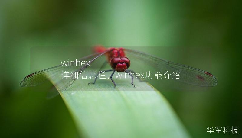 winhex 詳細信息欄，winhex功能介紹