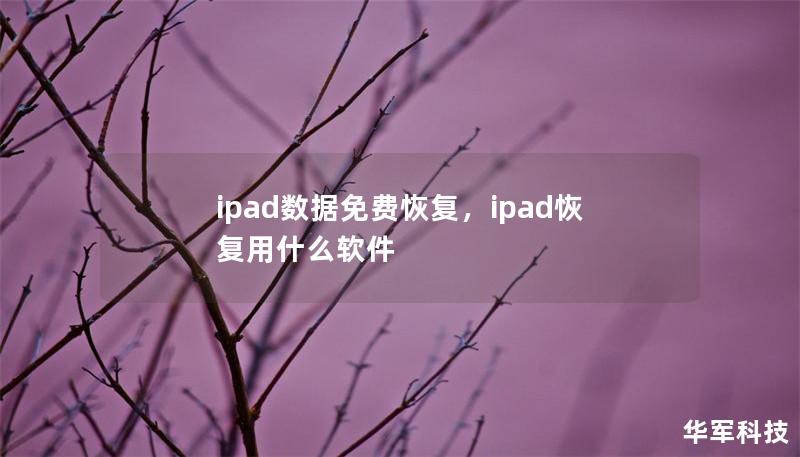 ipad數(shù)據(jù)免費恢復(fù)，ipad恢復(fù)用什么軟件