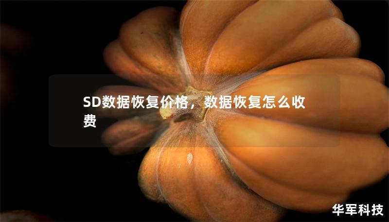 SD數據恢復價格，數據恢復怎么收費