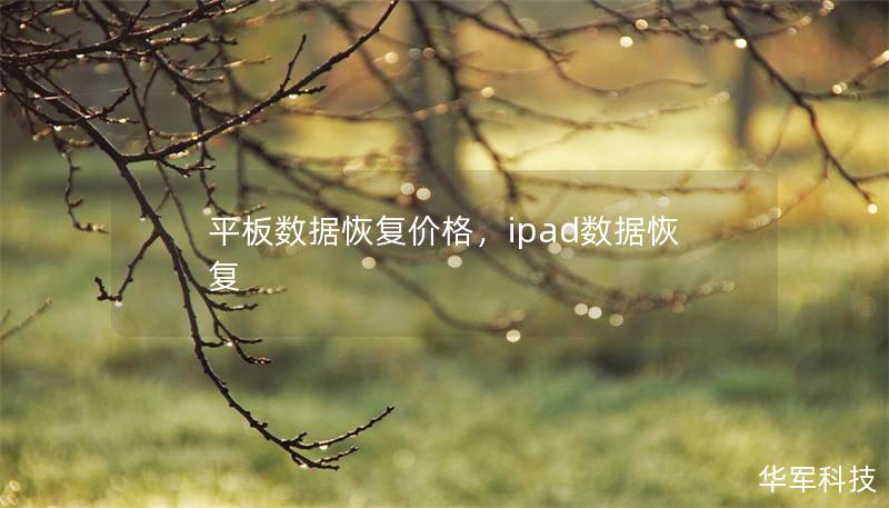 平板數據恢復價格，ipad數據恢復