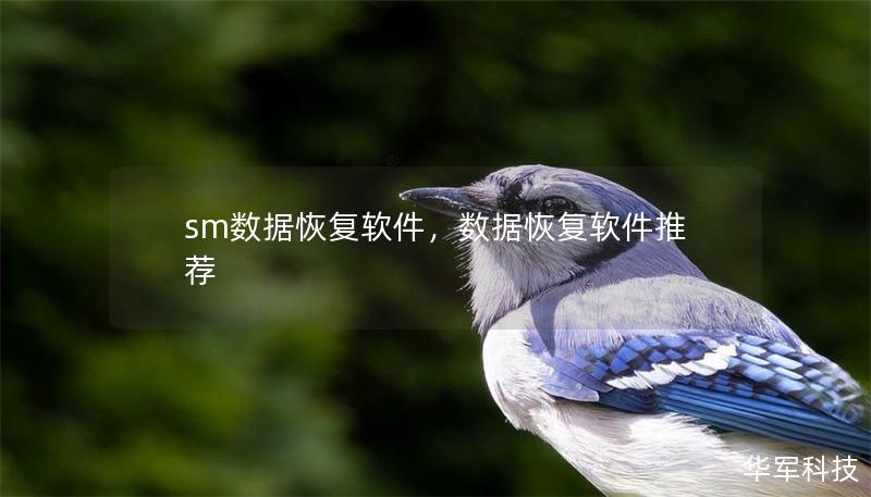 sm數據恢復軟件，數據恢復軟件推薦