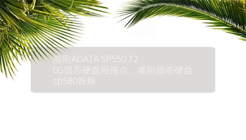 威剛ADATA SP550 120G固態硬盤短接點，威剛固態硬盤sp580拆解