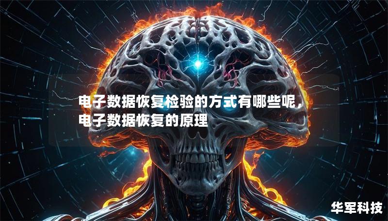 電子數據恢復檢驗的方式有哪些呢，電子數據恢復的原理