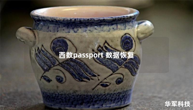 西數passport 數據恢復