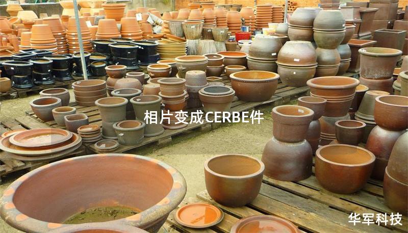 相片變成CERBE件