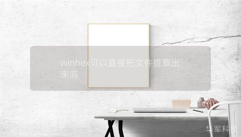 winhex可以直接把文件提取出來嗎