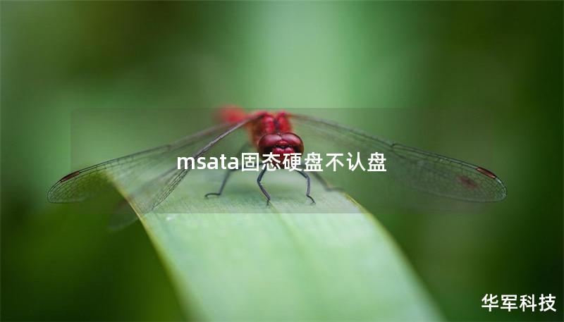 msata固態硬盤不認盤