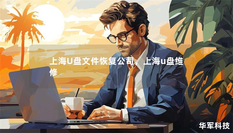 上海U盤文件恢復(fù)公司，上海u盤維修