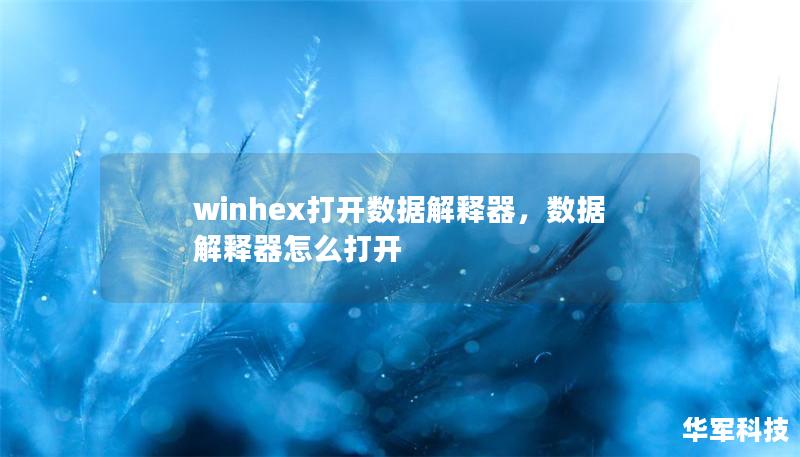 winhex打開數(shù)據(jù)解釋器，數(shù)據(jù)解釋器怎么打開