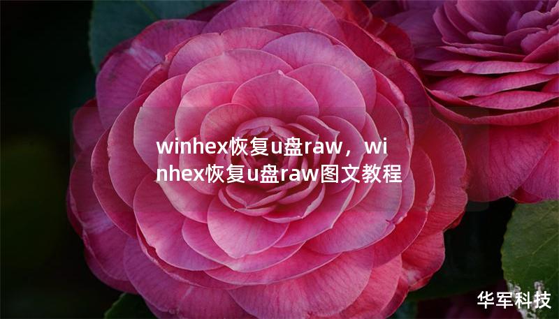 winhex恢復(fù)u盤(pán)raw，winhex恢復(fù)u盤(pán)raw圖文教程