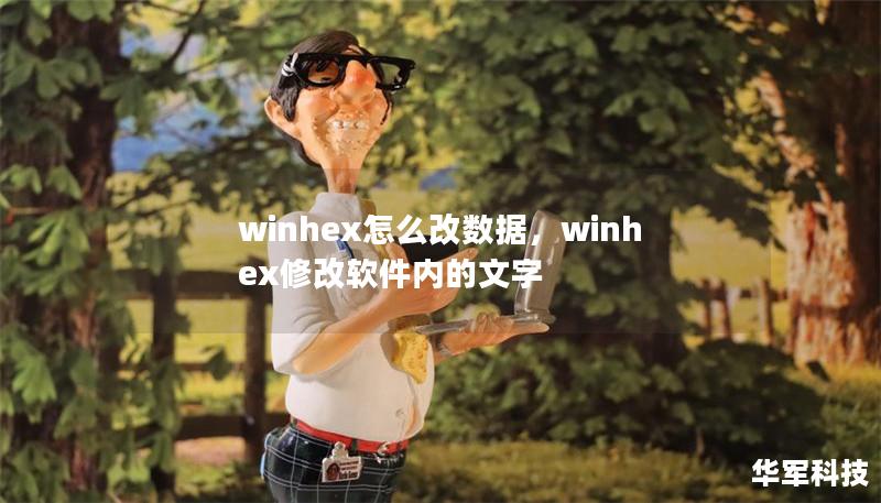 winhex怎么改數(shù)據(jù)，winhex修改軟件內(nèi)的文字