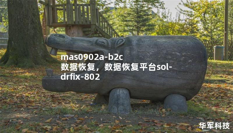 mas0902a-b2c 數據恢復，數據恢復平臺sol-drfix-802